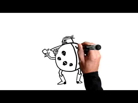 Videoscribing : la coccinelle agressive