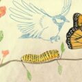 dessin de fleurs et arbres pour france bleu, expliquez-nous, jardinage, vidéo illustrée pédagogique, papillon et mésanges au jardin par sophia zandotti