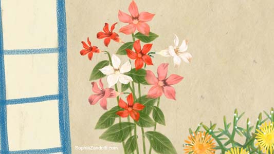 dessin limaces salade biere pour france bleu, expliquez-nous, jardinage, vidéo illustrée pédagogique