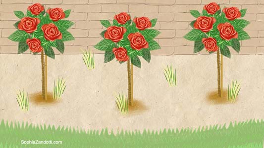dessin de fleurs et arbres pour france bleu, expliquez-nous, jardinage, vidéo illustrée pédagogique